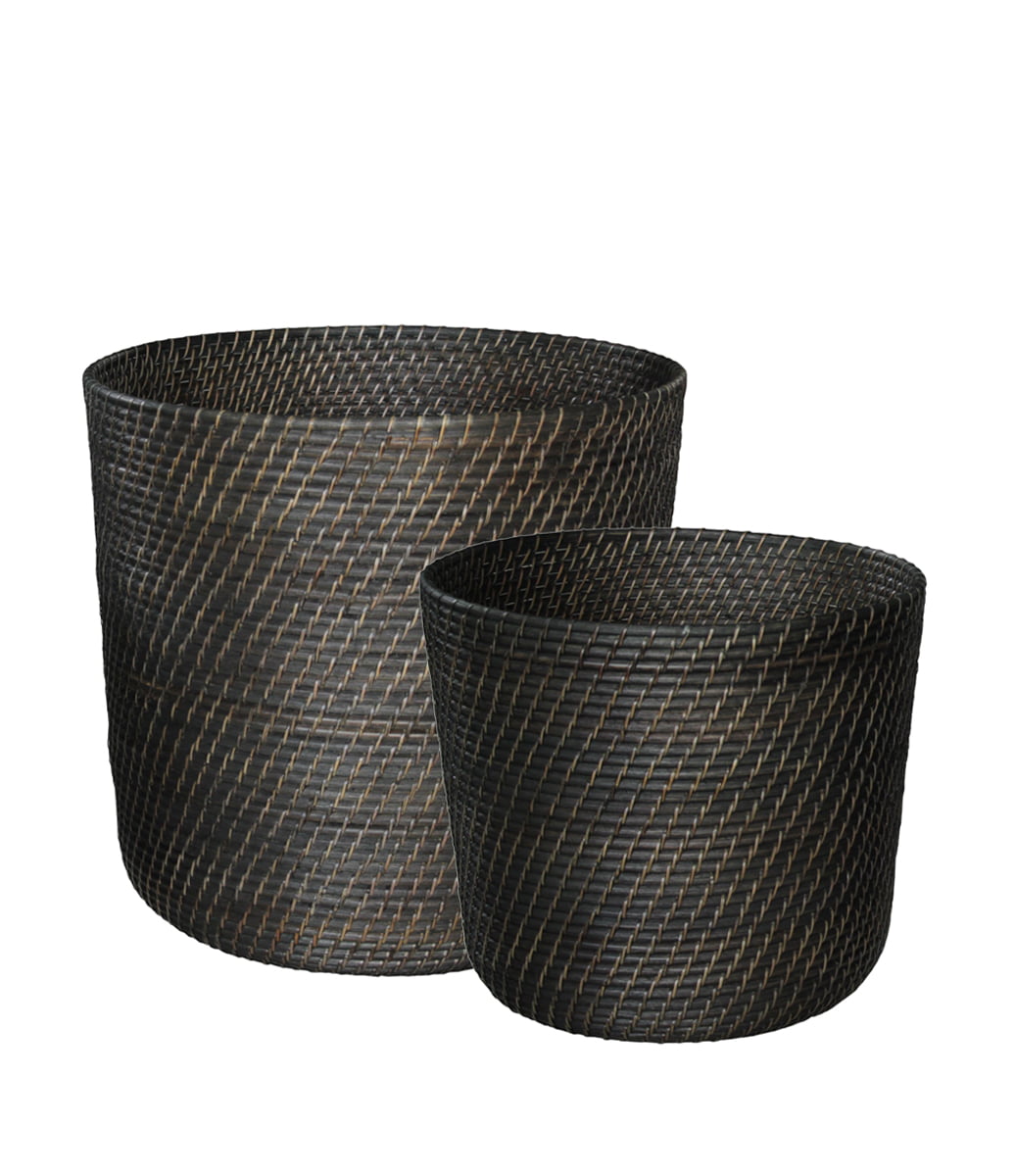 Amazon 2-Pack Korgar