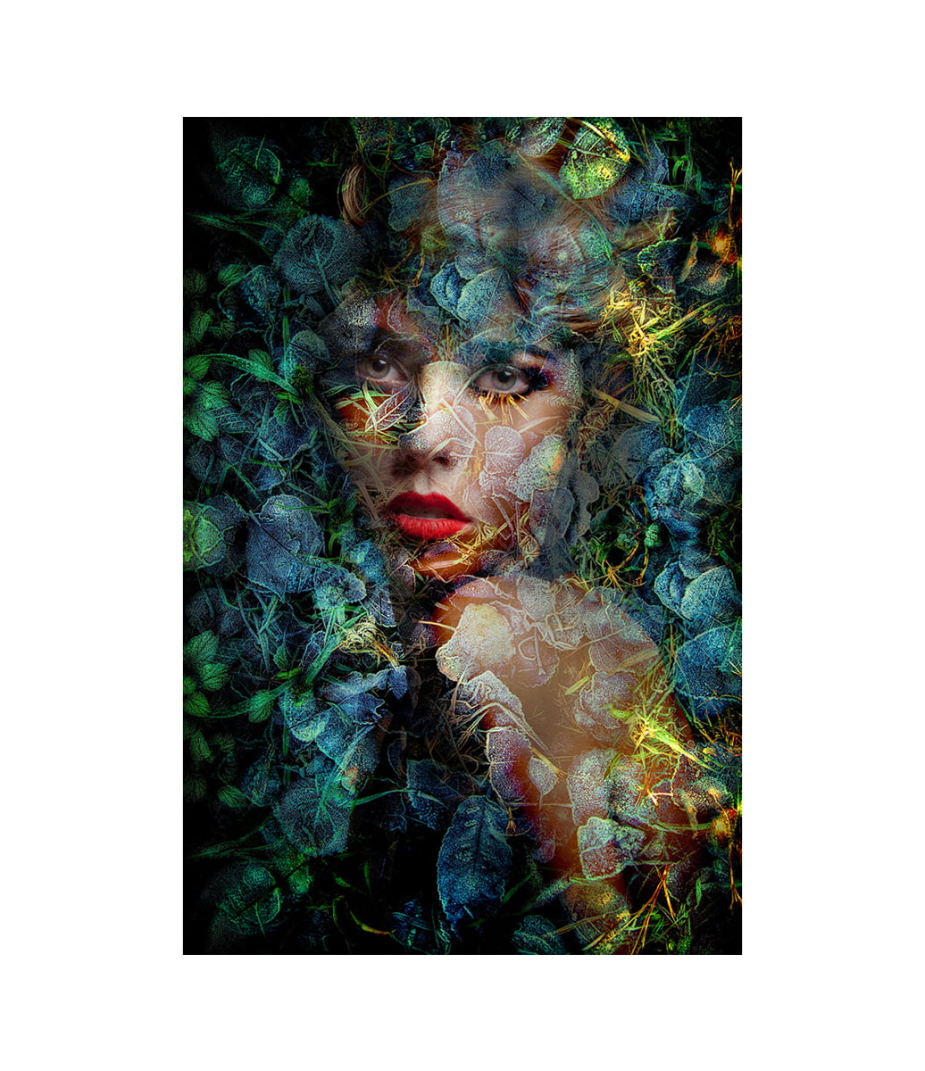 Blue Autumn Fototavla 80x120, Aluminium
