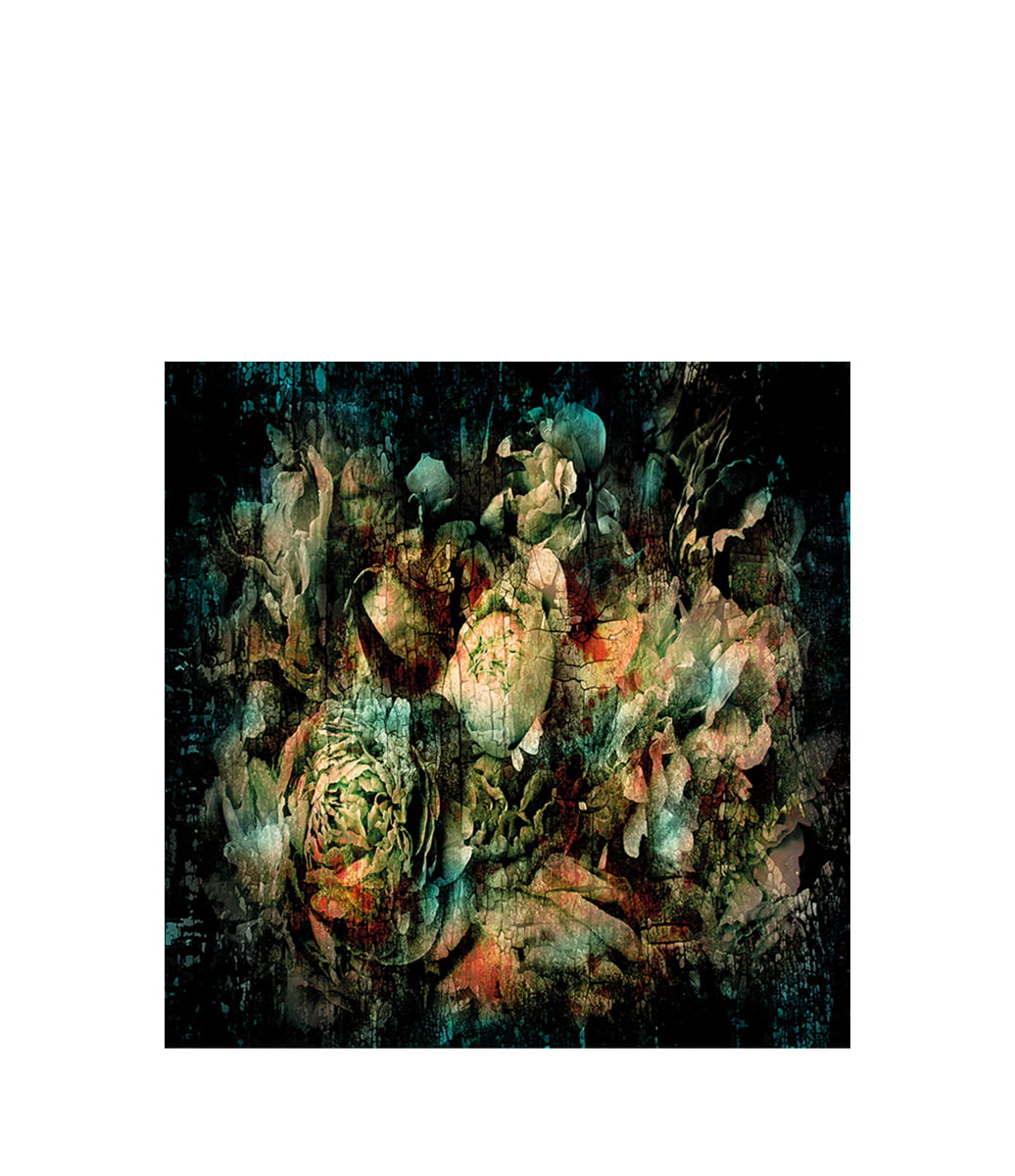 Botanical Abstract Tavla 100x100, Aluminium