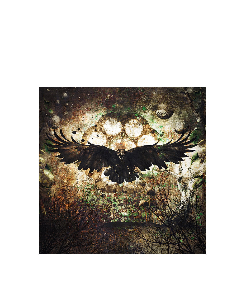Raven Fototavla 150x150, Plexiglas