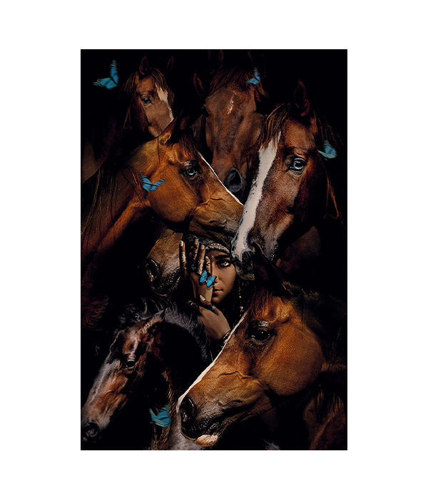 Gypsy Horses Fototavla 100x150, Aluminium