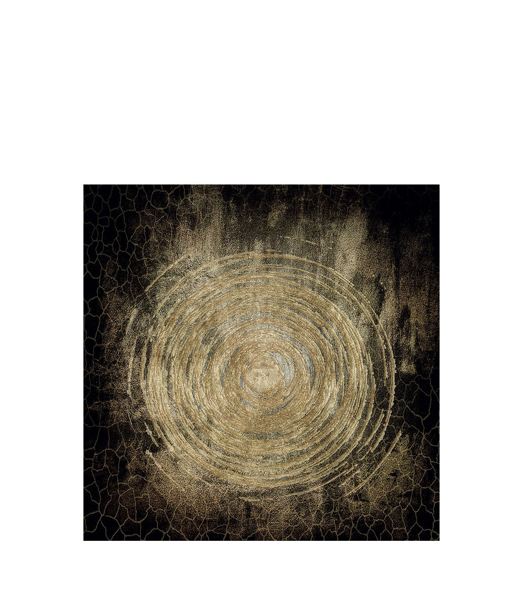 Circle Of Life Fototavla 120x120, Aluminium
